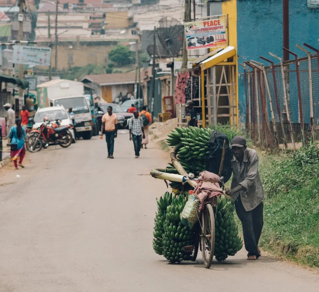 Uganda Needs US$28.1 billion for Revised Climate plan