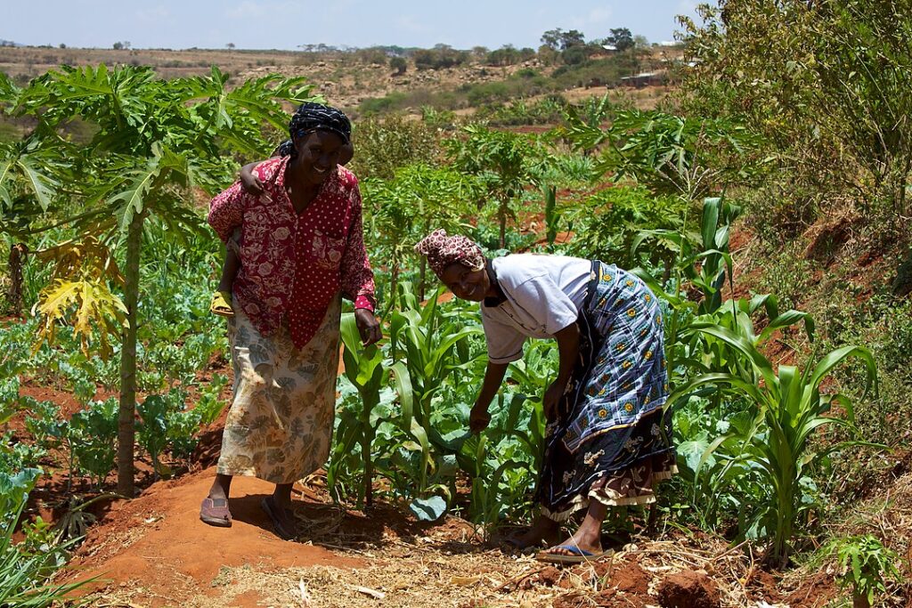 Review of Global Food Systems Transformation Set for July